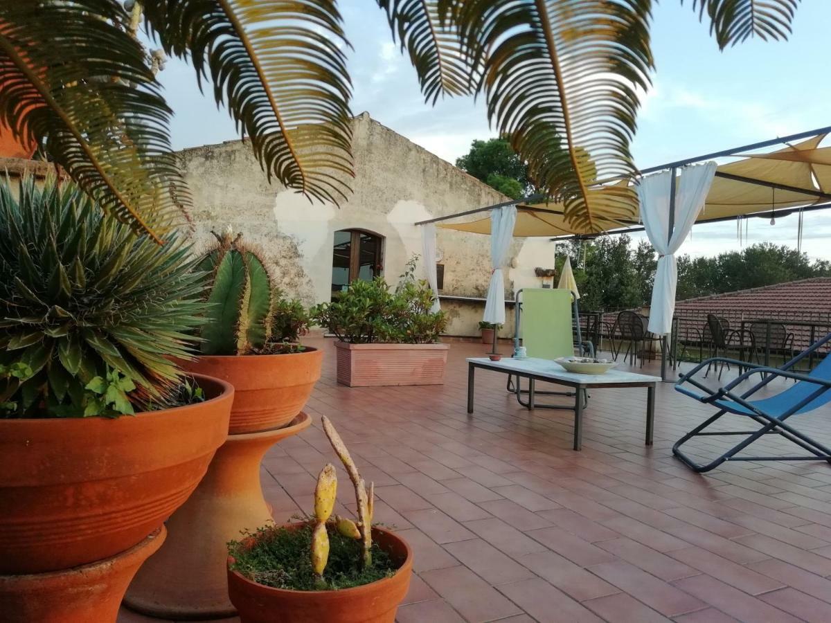 Casa Del Geco Bed and Breakfast Paestum Eksteriør billede